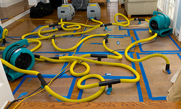 Professional Water Damage Restoration technician working in Collinsville, IL